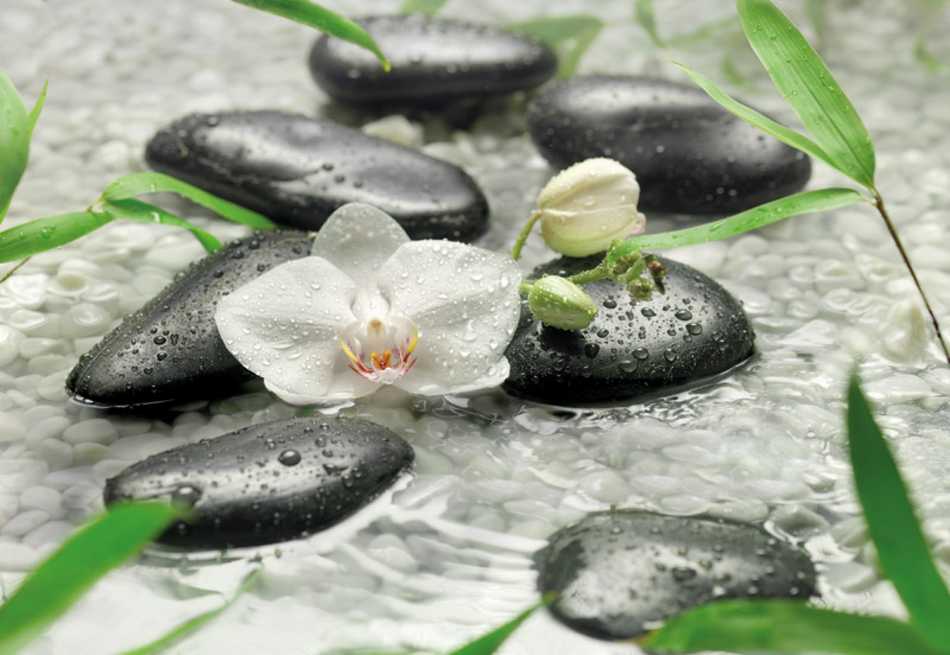 Schwarze Tapete Mit Blumen : 368×254 Feng Shui weisse Orchidee Steine Wasser schwarze Kiesel eBay Schwarze Tapete Mit Blumen : 368×254 Feng Shui weisse Orchidee Steine Wasser schwarze Kiesel eBay
