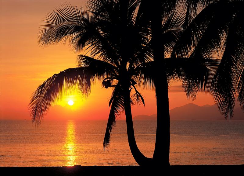 Palmsun, Strand am Abend - bei Klick zurck zur Motivbersicht
