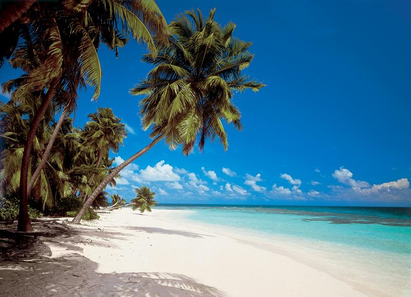 Martinique, Strand in weiss - bei Klick zurck zur Motivbersicht