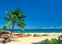 Tropenthemen, Strand, Sonne, Palmen, Inseln