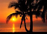 Palmen im Sonnenuntergang - bei Klick Artikelbeschreibung