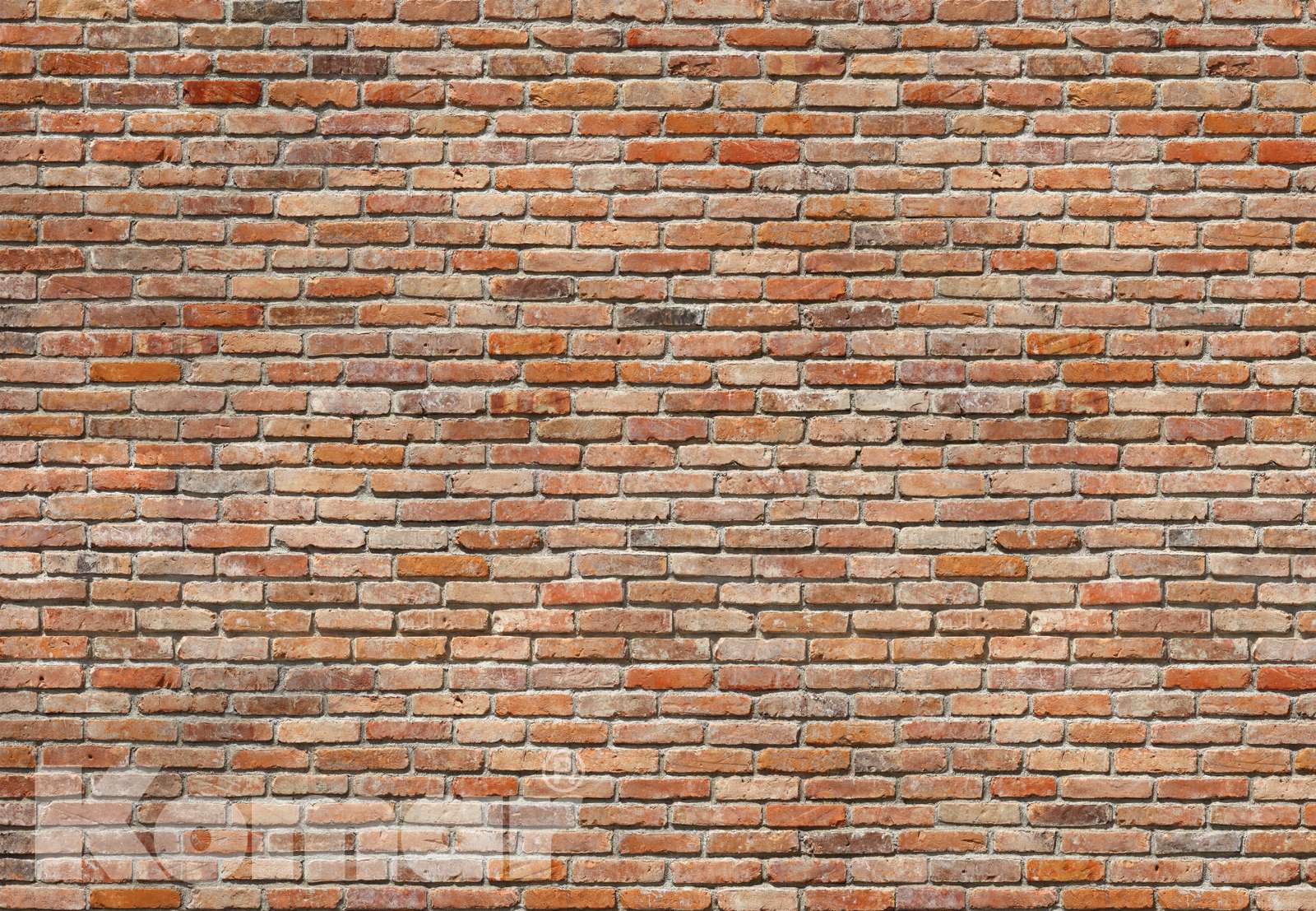 Fototapete BACKSTEINE 368x254 modern Mauer Ziegel-Wand rote Backstein